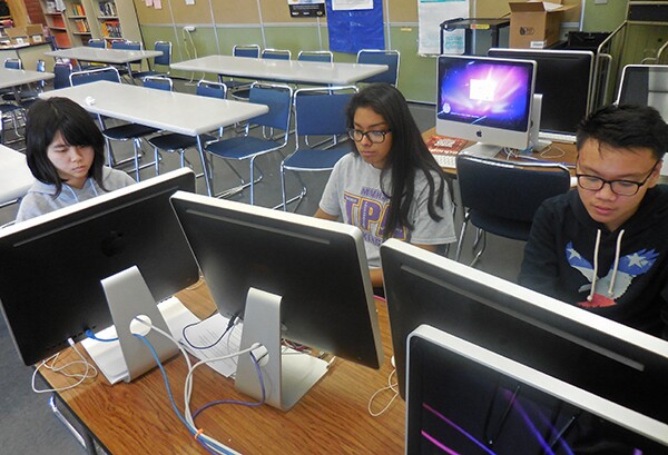 The Flower Bears hard at work on their community cause