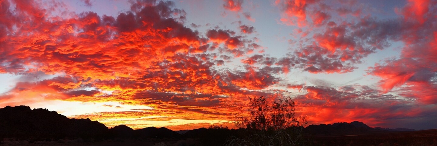 Joshua Tree Sunset