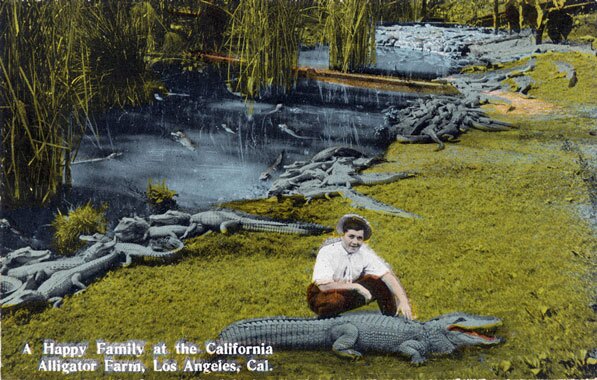 Postcard from the California Alligator Farm, circa 1907. Courtesy of the Werner Von Boltenstern Postcard Collection, Department of Archives and Special Collections, Loyola Marymount University Library.