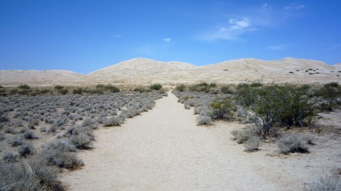 kelso dunes