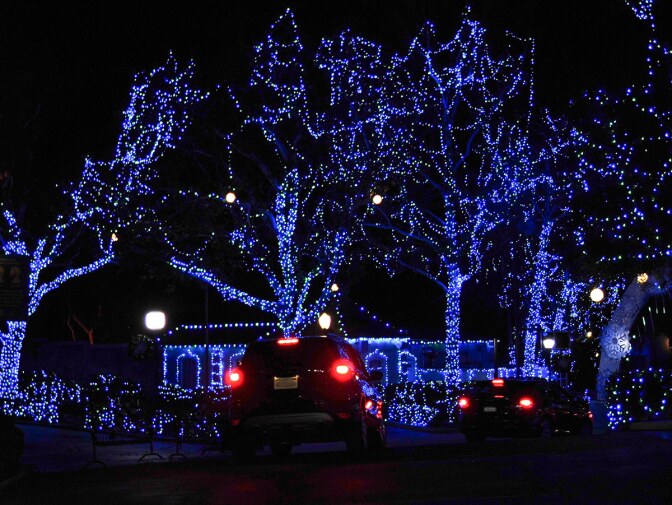Blue lights decorate trees at Holiday in the Park at Six Flags Magic Mountain. | Sandi Hemmerlein