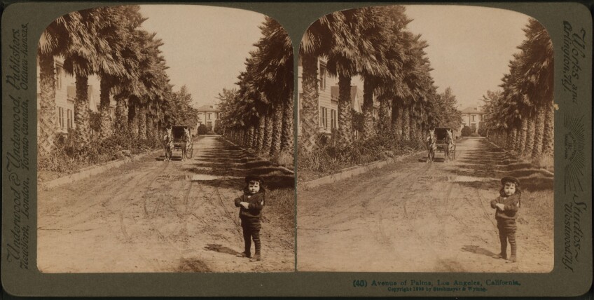 This Avenue of Palms survives today on the campus of the Los Angeles Orthopaedic Institute.