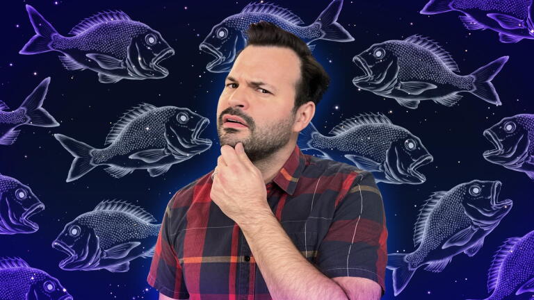 No Such Thing as a Fish | July 13 - July 19