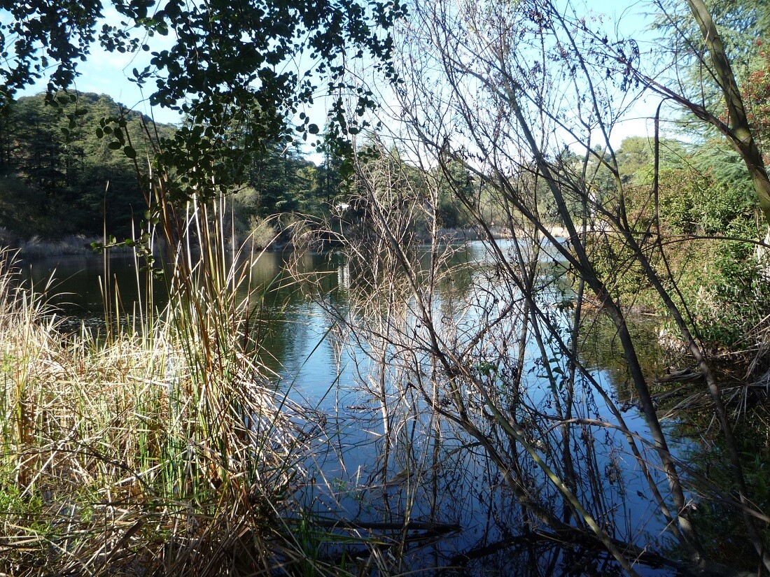 Franklin Canyon Park (2)