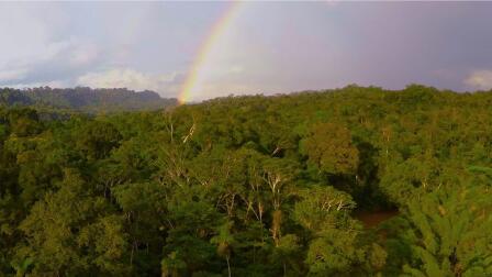 Ecuador: Native Peoples Meet the Oilmen