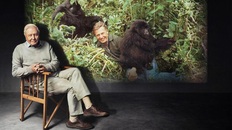 Life on Earth: Attenborough’s Greatest Adventure