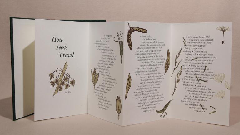 Catherine Alice Michaelis on her book How Seeds Travel