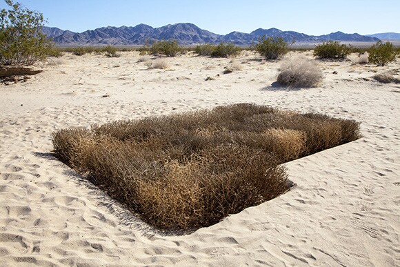 Patrick Gilbert's Prospecting. | Photo Kim Stringfellow