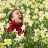 A little girl plays in a field of daffodils.