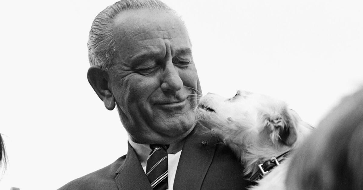 President Pug Watch Museum showcases the pets who have lived in the White House | PBS ...