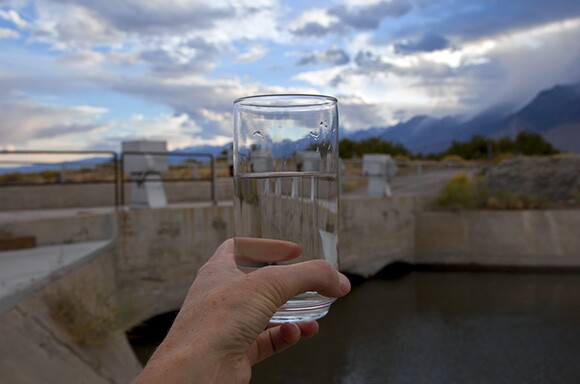 Photo by Kim Stringfellow.