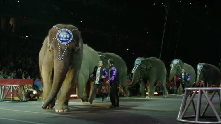 435: Elephant Conservation Center