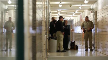 Students help divert millions away from policing in schools