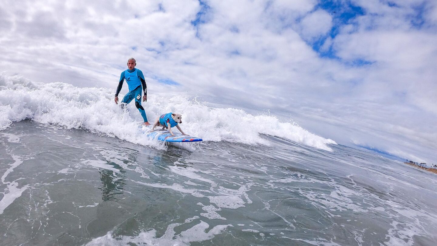 Man in blue rides along a wave with his dog in front of him