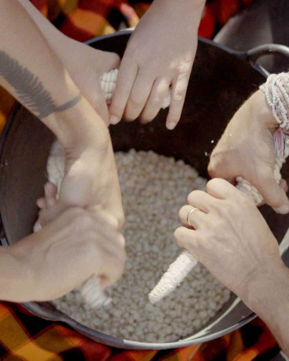 A group at the Cultural Conservancy removes dried grain corn from the cob to preserve the seeds in their seed library. | Still from the "Cultivating Native Foodways with the Cultural Conservancy" episode of "Tending Nature."