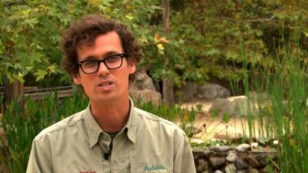 Jeff Chapman - An Indication of Restoration