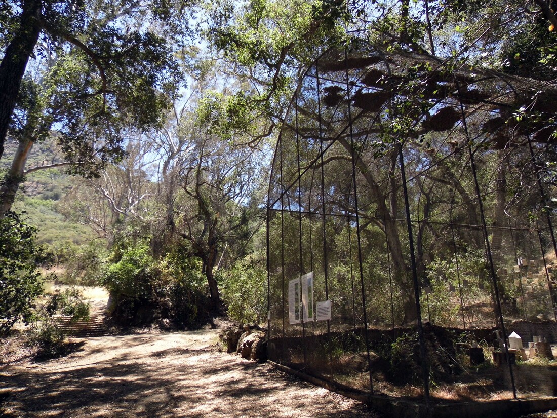 Peter Strauss Ranch