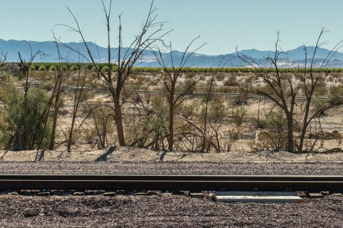 View of Cadiz Inc's agricultural project viewed from the BNSF Freight line tracks. | Kim Stringfellow