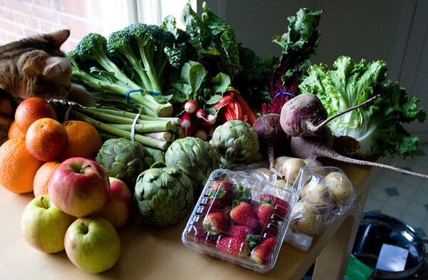 Organic2