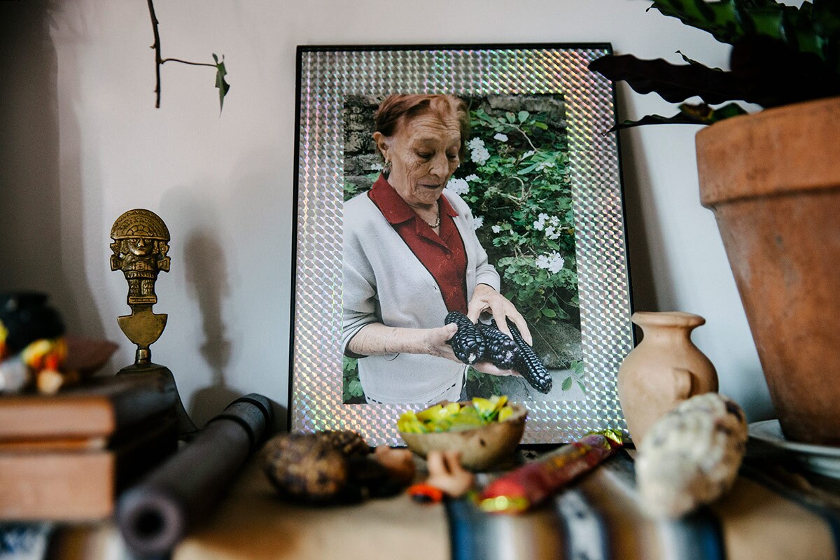 Loba was exposed to herbal medicines through their grandmothers who mostly relied on ancestral remedies. | Samanta Helou Hernandez