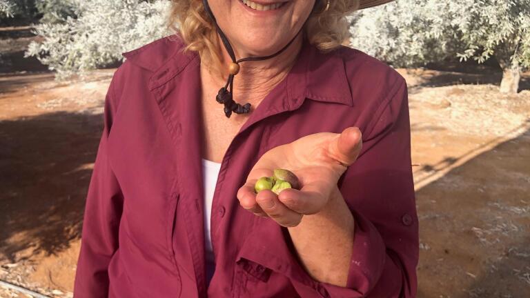 For the Love of Olives