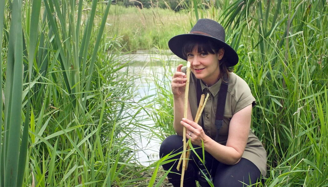 Prairies: Life in Water