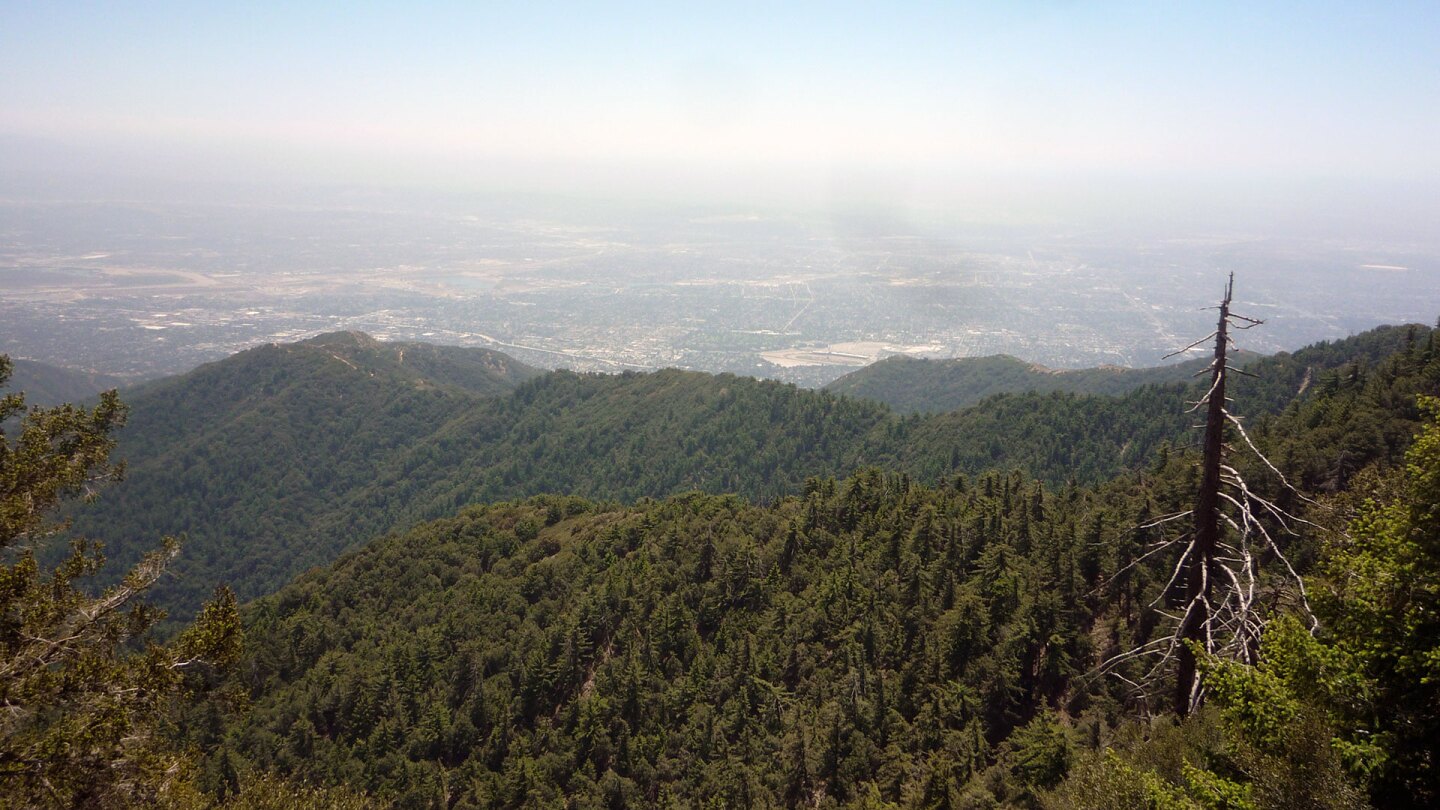 mount wilson