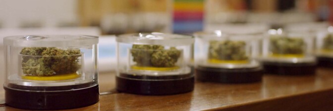 Commercial marijuana | Still from "Broken Bread" Cannabis