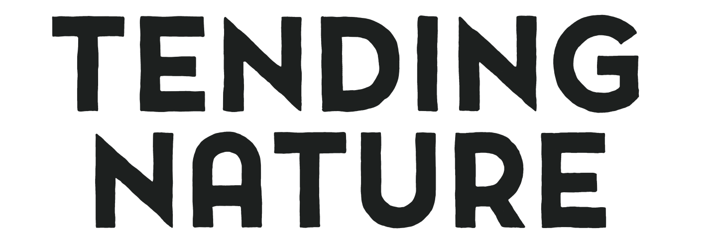 tn_logo_v1.png