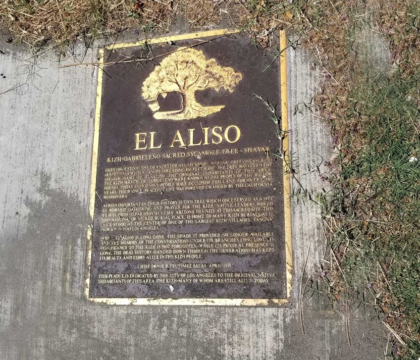 A bronze plaque on a concrete surface that is being taken over by weeds and grass, encroaching on the edges of the plaque. The plaque has a gold tree etched on the top. Underneath it reads, "El Aliso," in large letters. Beneath that it reads, "Kizh-Gabrieleño Sacred Sycamore Tree - Shavar," and three paragraphs of text:
Here once stood the grandest of all sycamore (Sha'var) trees measuring 60 feet high with a canopy spreading 200 feet wide. The tree was given the Spanish name of El Aliso. The original inhabitants of this area, the Kizh (Keech) or Gabrieleño were known as the people of the willow houses. These Indigenous people have occupied this land for over 12,000 years. Their once peaceful life was forever changed by the California Mission era.
Always important in their history was this tree which once served as a site of worship, gathering and prayer for the Kizh. Native leaders would travel from as far away as Yuma, Arizona to unite at this sacred site. This Koo-nas-gna, or sacred burial place is home to many Kizh burials as it once stood at the center of one of the largest Kizh villages, Yaangna, now known as Los Angeles.
While El Aliso is long gone, the shade it provided no longer available and the memory of the conversations under its branches long lost, its significance to the Kizh is not forgotten. While its physical presence is gone, the oral history handed down through the generations has kept its beauty and story alive in the Kizh people.
Chief Ernie P. Tautimez-Salas, April 2019
This plaque is dedicated by the City of Los Angeles to the original native inhabitants of this area, the Kizh, many of whom are still alive today.