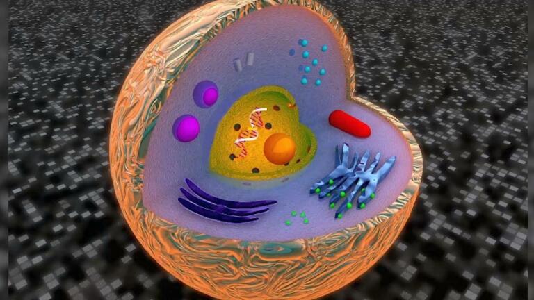 Life without mitochondria