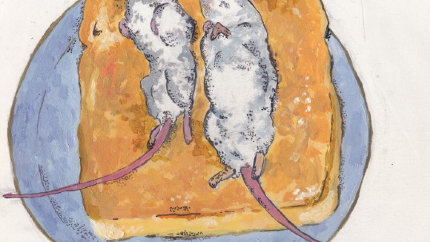 Illustration: Isabel Ochoa Gold.