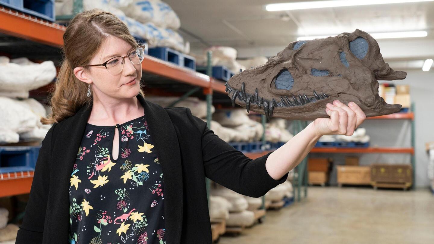 we-dig-dinosaurs.jpg