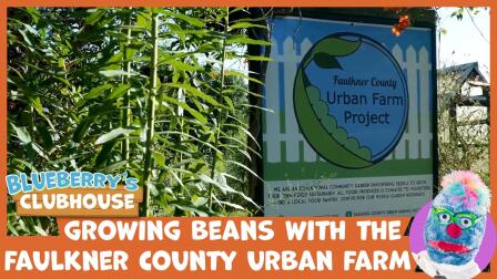 Gardening With Faulkner County Urban Farm Project