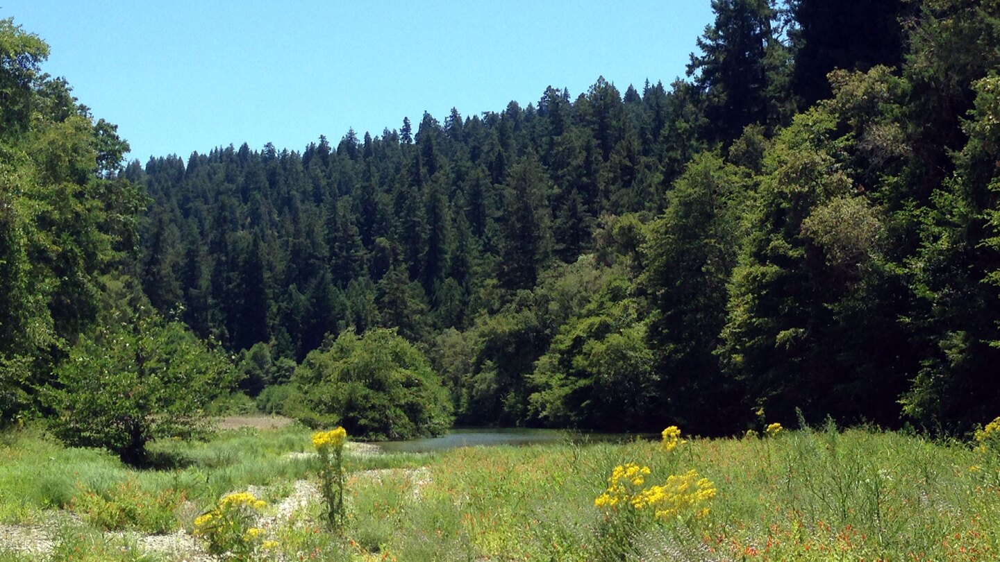 hendy woods state park