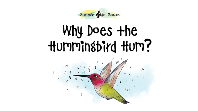 Marty’s Theme & Variations; Another Trip to the Farm; “Why D