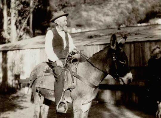 Wilbur Sturtevant on his donkey in 1893. Courtesy of the Sierra Madre Historical Archives Collection, Sierra Madre Public Library