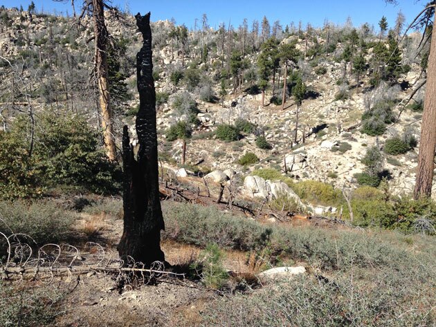 snag-butler-11-5-15-thumb-630x473-98928