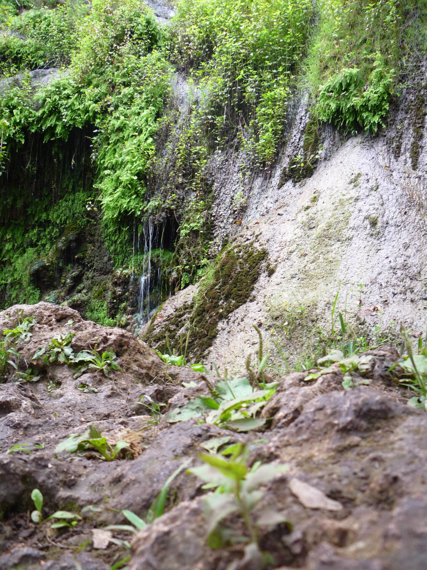 The lower falls at the end Escondido Canyon Park and Falls accessed via the four-mile round-trip hike through oak woodland, riparian woodland and coastal sage scrub habitats.