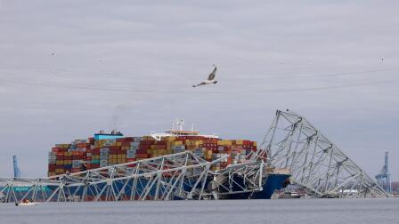 Baltimore bridge collapses after cargo ship rams support