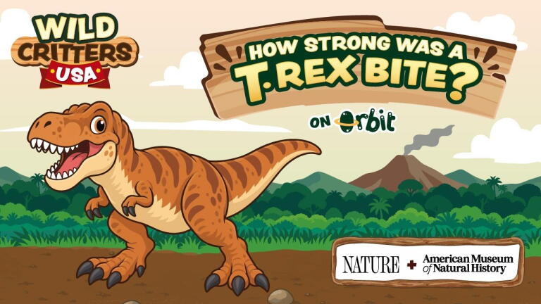 How Strong Was a T. Rex Bite? | Wild Critters USA