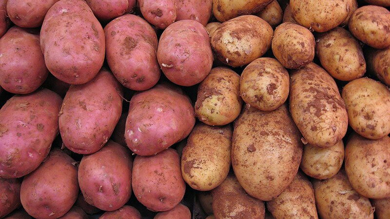 Potatoes | Photo: 16:9clue, some rights reserved