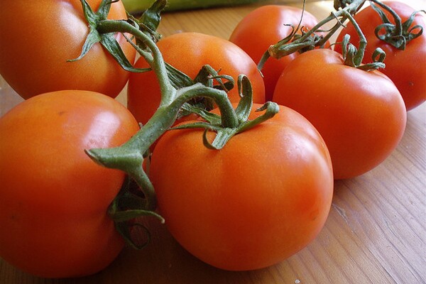 Organic3.jpg