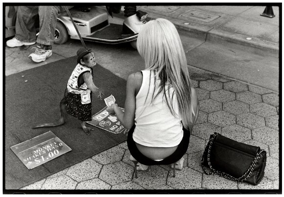 "Women and Monkey in Santa Monica" from the book "Wayward Cognitions." | Photo: Courtesy of the artist.