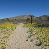 Saddleback Butte State Park