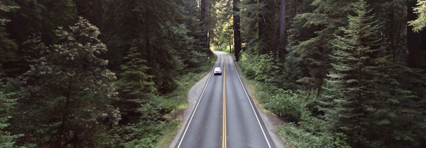 Car driving through Northern California forests. | Still from "Tending Nature"