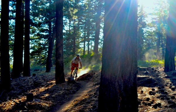 A mountain biker on the Skyline Trail. | Photo: Courtesy Big Bear Lake Resort Association