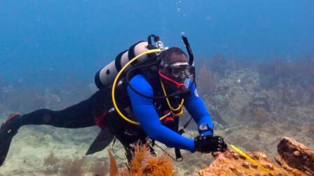 Black scuba divers explore the wreckage of slave ships