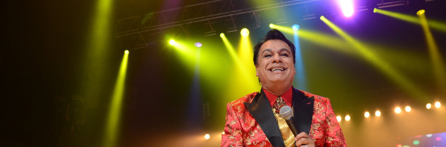 Juan Gabriel "Volver Tour" 2014 in Oakland (primary)