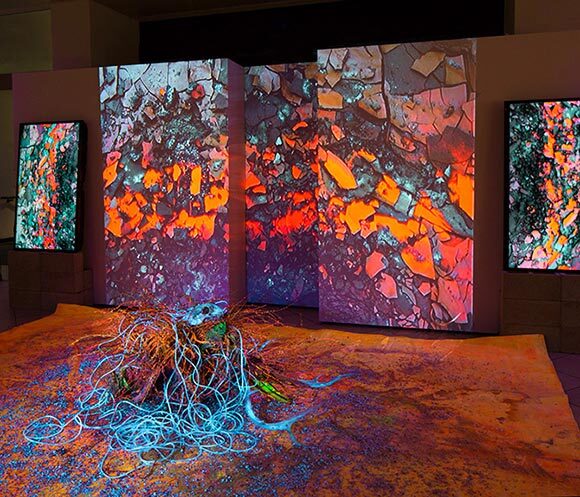 "Circulation," 2014. Museum of Photographic Arts, San Diego. | Photo: Cristopher Cichocki.